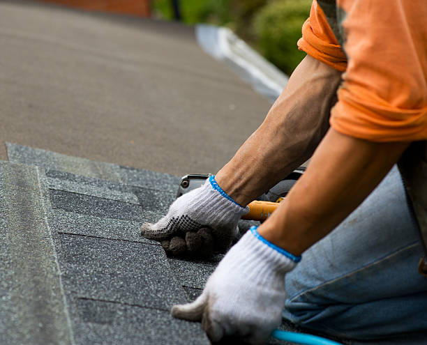 Quick and Trustworthy Emergency Roof Repair Services in Mahanoy City, PA